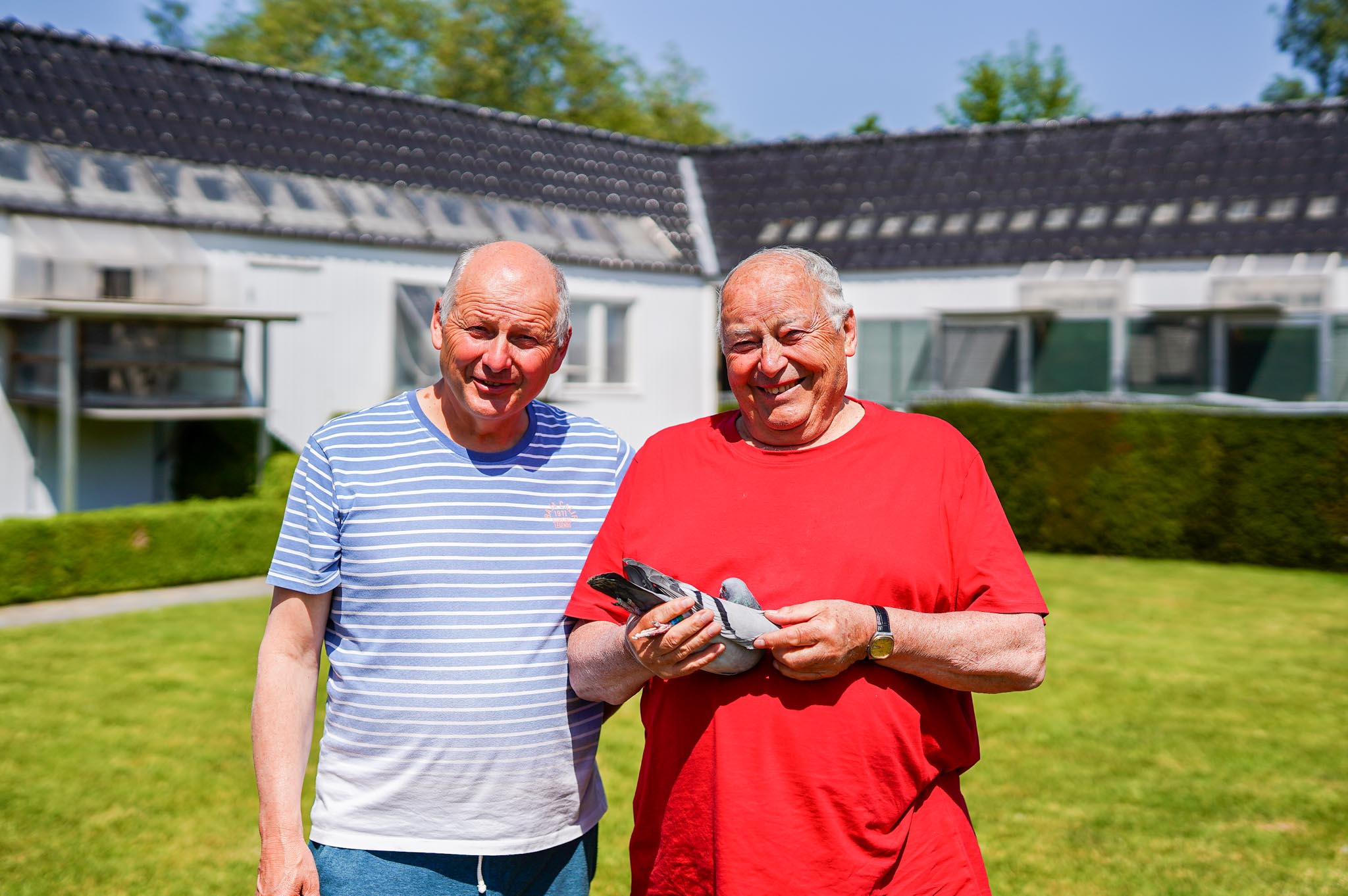 比利時辛郡（Zingem）的福雷迪和雅克.范希（Freddy & Jacques Vandenheede）在2023年取得2項全國冠軍