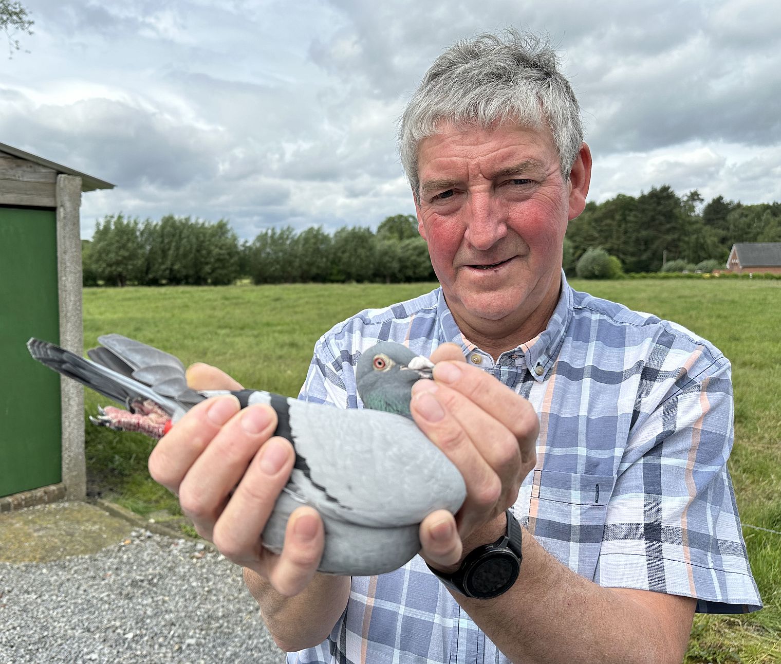 比利時安澤赫姆(Anzegem)的路克.德萊爾(Luc De Laere):波治全省冠軍